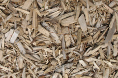 biomass boilers Trisant