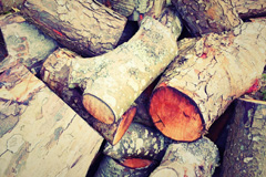 Trisant wood burning boiler costs